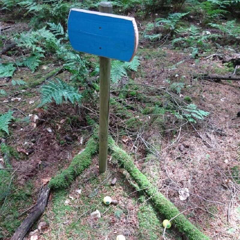 Alternative view of Crossgolf