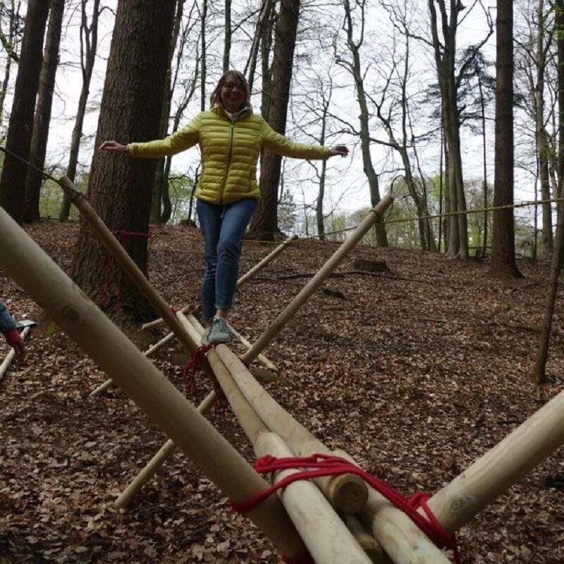 Alternative view of Brückenbau