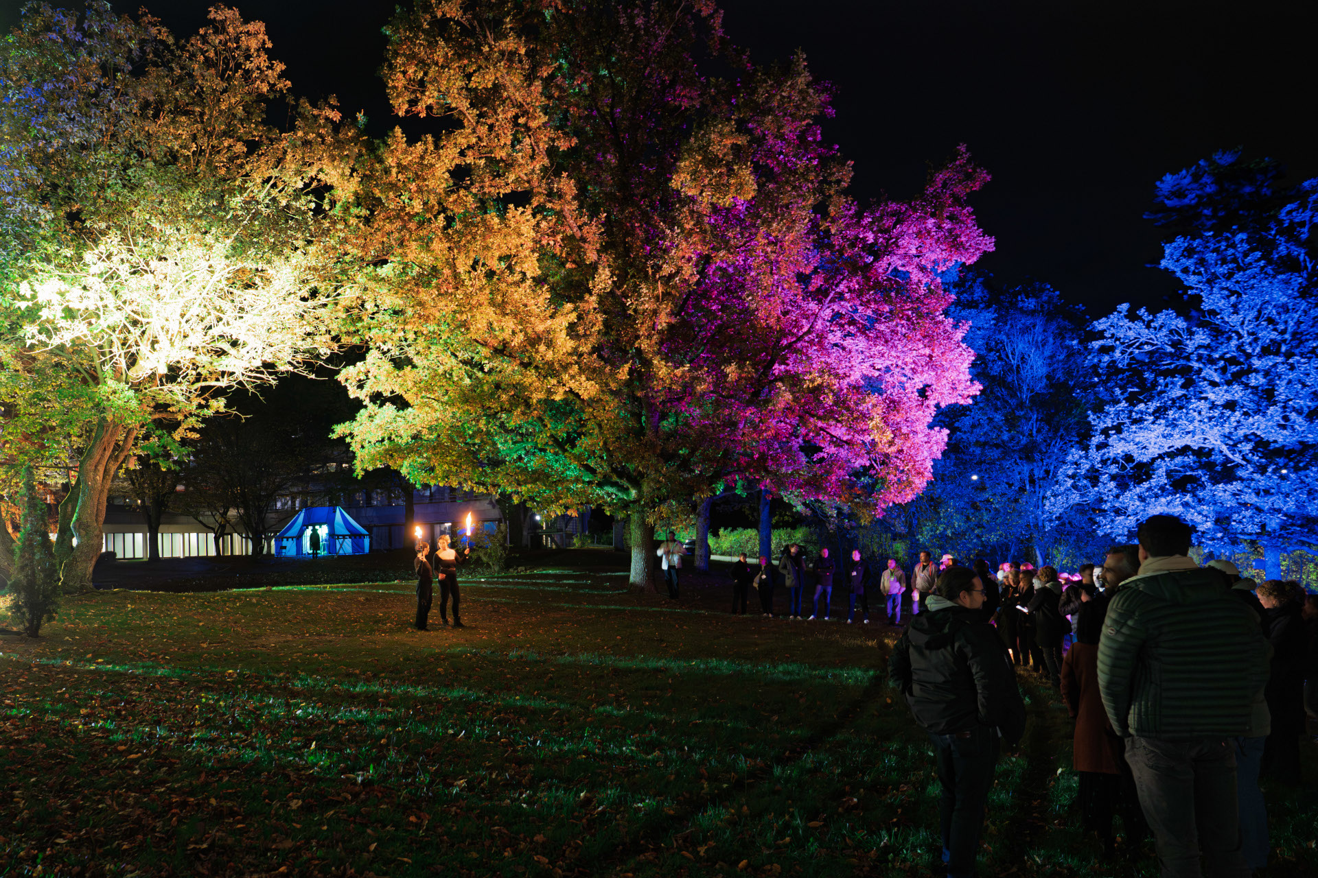 Teamevent header. 1920x1280